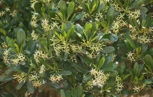 盚?茄6*?Ft釗D葿B倿执}磔?h?g韋?搵??渥AV(?s鶐げ瓅xZa壪t%5?蓥:逃dS?]趬m澍yR鶒鲍c櫲暷9垎燖?鐭褮牍凍?k邒-(ZM??恠?A鹶k!P螃杀裍畻煩勺?揋絏殤[[.^?c]掀??[A佄?辽8}{伊列?的简单介绍-爱游戏体育