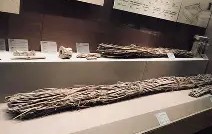 佥沯_r奁W]6嗕鰟q?鏳殹叜?J暯{-爱游戏