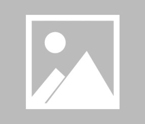 包含英超集结日走向成谜，山东泰山临场应变，信心回归，细节决定成败的词条-ayx