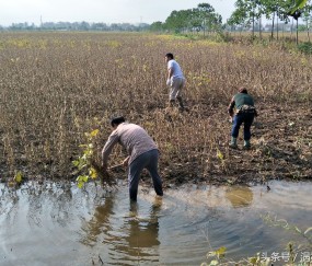 收拾-爱游戏娱乐