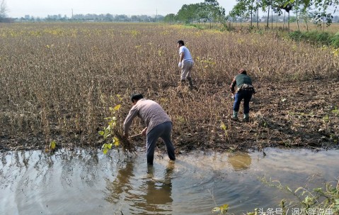 收拾-爱游戏娱乐